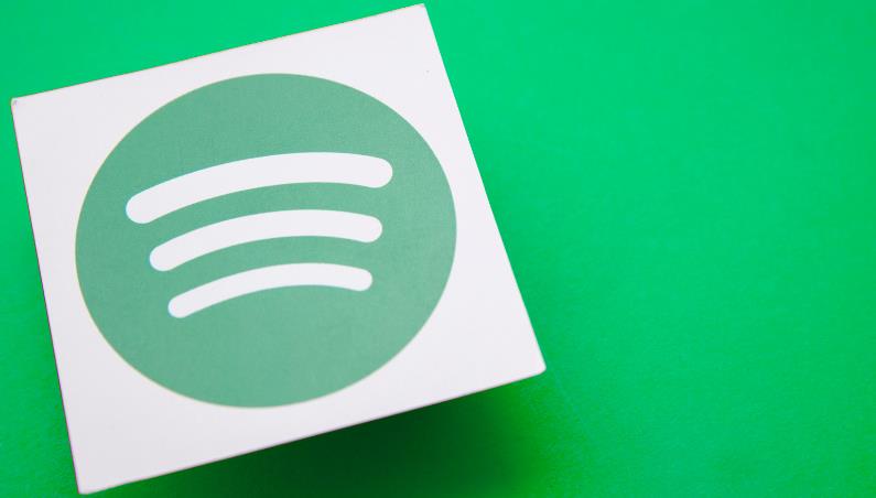 How to See Who Liked Your Playlist on Spotify